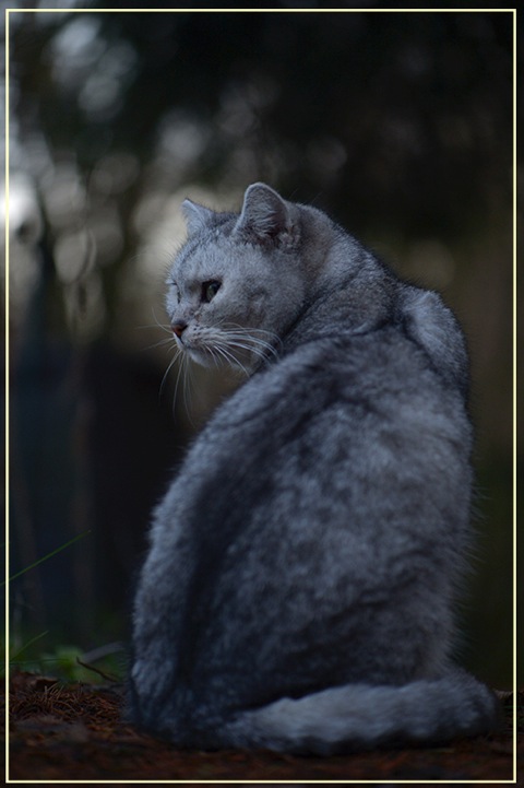 DSC_0943-cukbilder-zwerg-7.1.2014