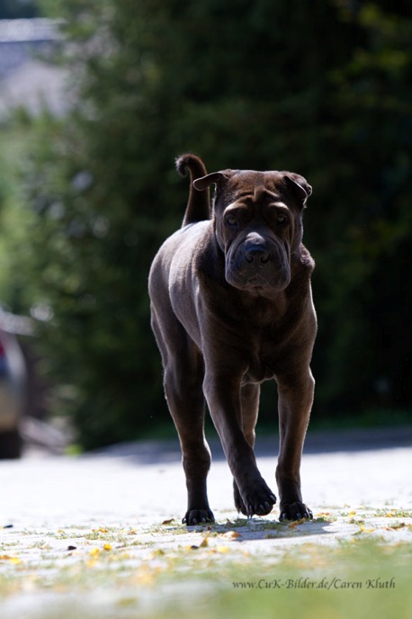 IMG_3083-k-cukbilder-KO-lr