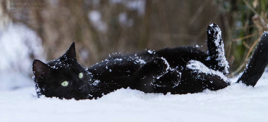 IMG_5174-ka-cukbilder-emilio-pano