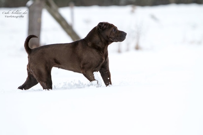 IMG_5579-k-cukbilder-KO