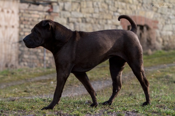 IMG_6552-k-cukbilder-15.4.