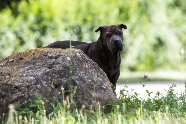 IMG_7511-k-cukbilder.KOmeineliebste