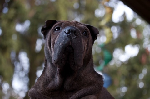 IMG_9073-k-cukbilder-KOchen