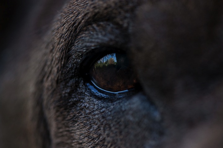 IMG_9712-k-KO-lidschluss