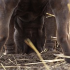 IMG_0141-k-wasistdas-f