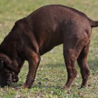 IMG_5594-ka-aus.die.maus-800