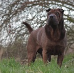 IMG_5888-k-zartes-gruen