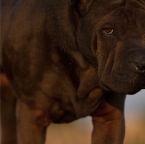 IMG_4431-k-der-blick-800