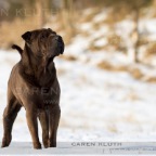 IMG_4664-ka1-cukbilder-KO-webfb