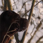 IMG_2892-k-KO-750-s-