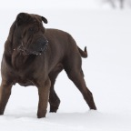 IMG_4990-ka-2-2010-ko