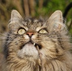 IMG_7958-k-lieber-gott-800