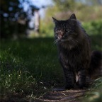 IMG_4966-k-kaiserwetter-800