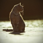 IMG_2558-k-cukbilder-leuchtie-bea