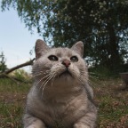 IMG_9022-k-cukbilder-krimel-ww