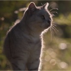 IMG_8494-k-leuchtie-540