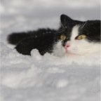 IMG_5220-ka-3-2010-ellif