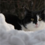 IMG_5023-ka-2-2010-ellif