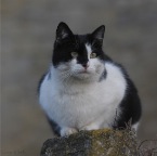 IMG_5477-k-fernblick-800