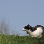 IMG_6001-ka-waaahnsinn-w