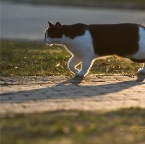 IMG_8597-k-cukbilder-elli-GL-800