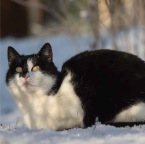 IMG_4771-k-cukbilder-ellile