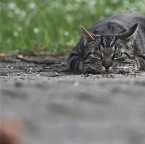 IMG_0416-k-jaeger-800-fb