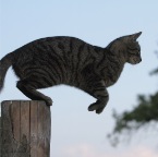 IMG_1265-k-hahuepf-800