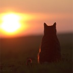 IMG_6338-k-cukbilder-SU-800