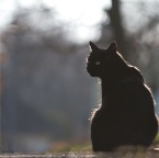 IMG_8869-k-cukbilder-emil-800-lr