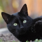 IMG_5294-k-emiliomittig-800