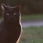 IMG_5907-k-zickenpeter-800