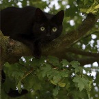 IMG_3410-ka-emil-eule-800