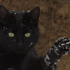 IMG_4861-ka-2-2010-emilb