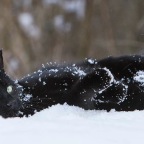 IMG_5174-ka-cukbilder-emilio-pano1