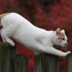 IMG_2280-k-iraahorn-800