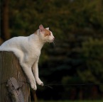 IMG_1977-k-fahrwerk-2-800