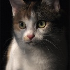 IMG_4645-khp-wilma-800-lr