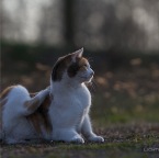 IMG_8766-k-cukbilder-wilma-800