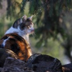 IMG_5167-k-wilma-960-f